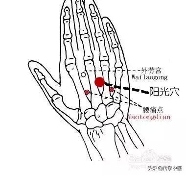 陽光穴|「陽光穴」，一個治療腰痛的好穴位